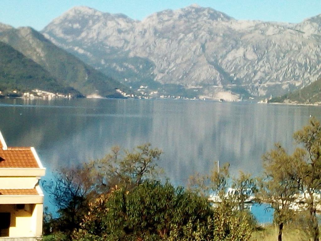 Villa Adriatic Kotor Zewnętrze zdjęcie